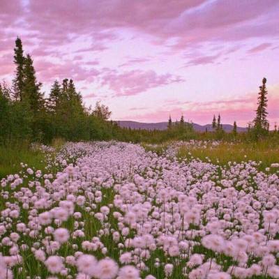 欧博手机版app下载安装